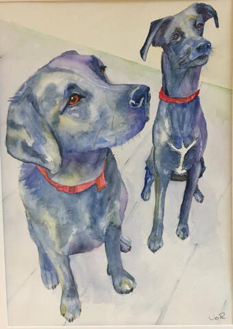 Learn to paint dogs Learn to paint dogs